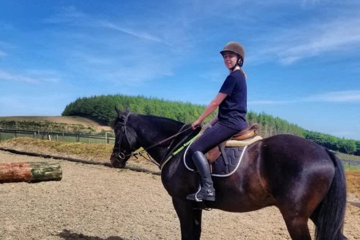 a person riding a horse